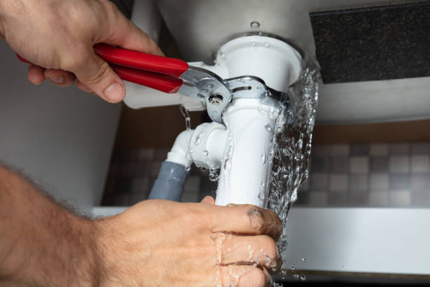Best Fire Damage Restoration  in Adrian, MI