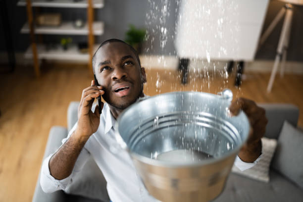 Best Residential water damage restoration  in Adrian, MI