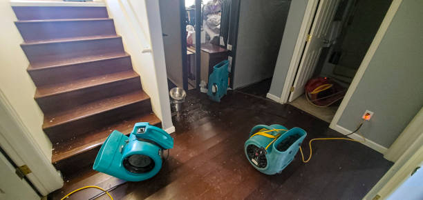 Best Local water damage restoration  in Adrian, MI
