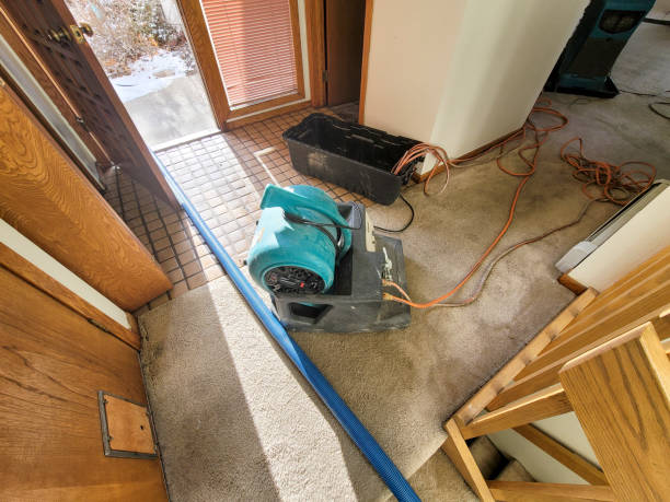 Best Sewage cleanup and water damage restoration  in Adrian, MI