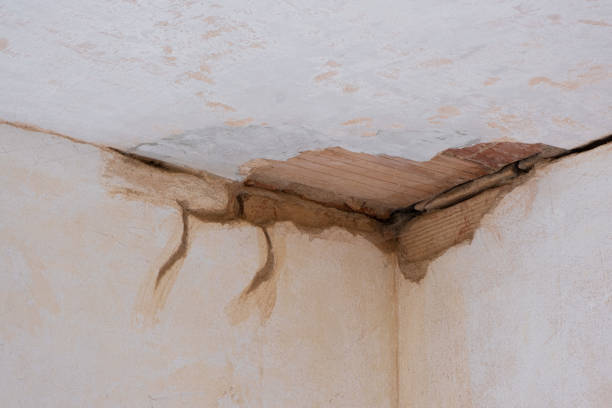 Best Local water damage restoration  in Adrian, MI
