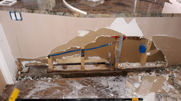Best Fire Damage Restoration  in Adrian, MI