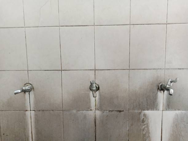 Best Flooded house restoration  in Adrian, MI