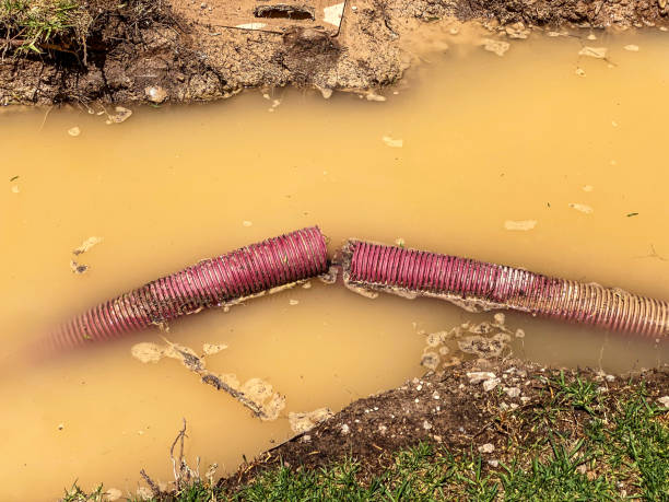 Best Basement water damage restoration  in Adrian, MI